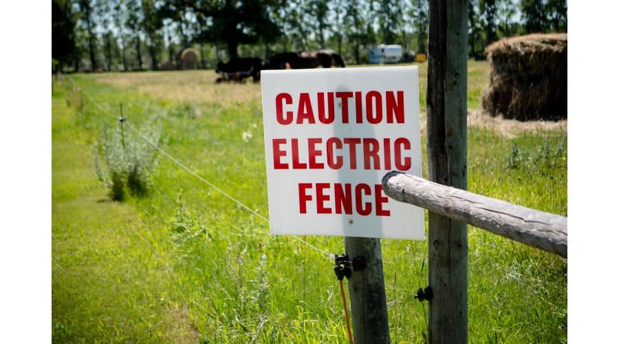 You are currently viewing Electric Snake Fence
